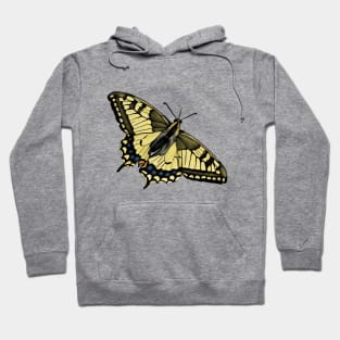 Swallowtail Butterfly Drawing Hoodie